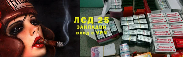 спайс Чекалин