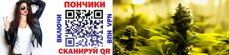 Конопля конопля  Купить  Яблоновский 